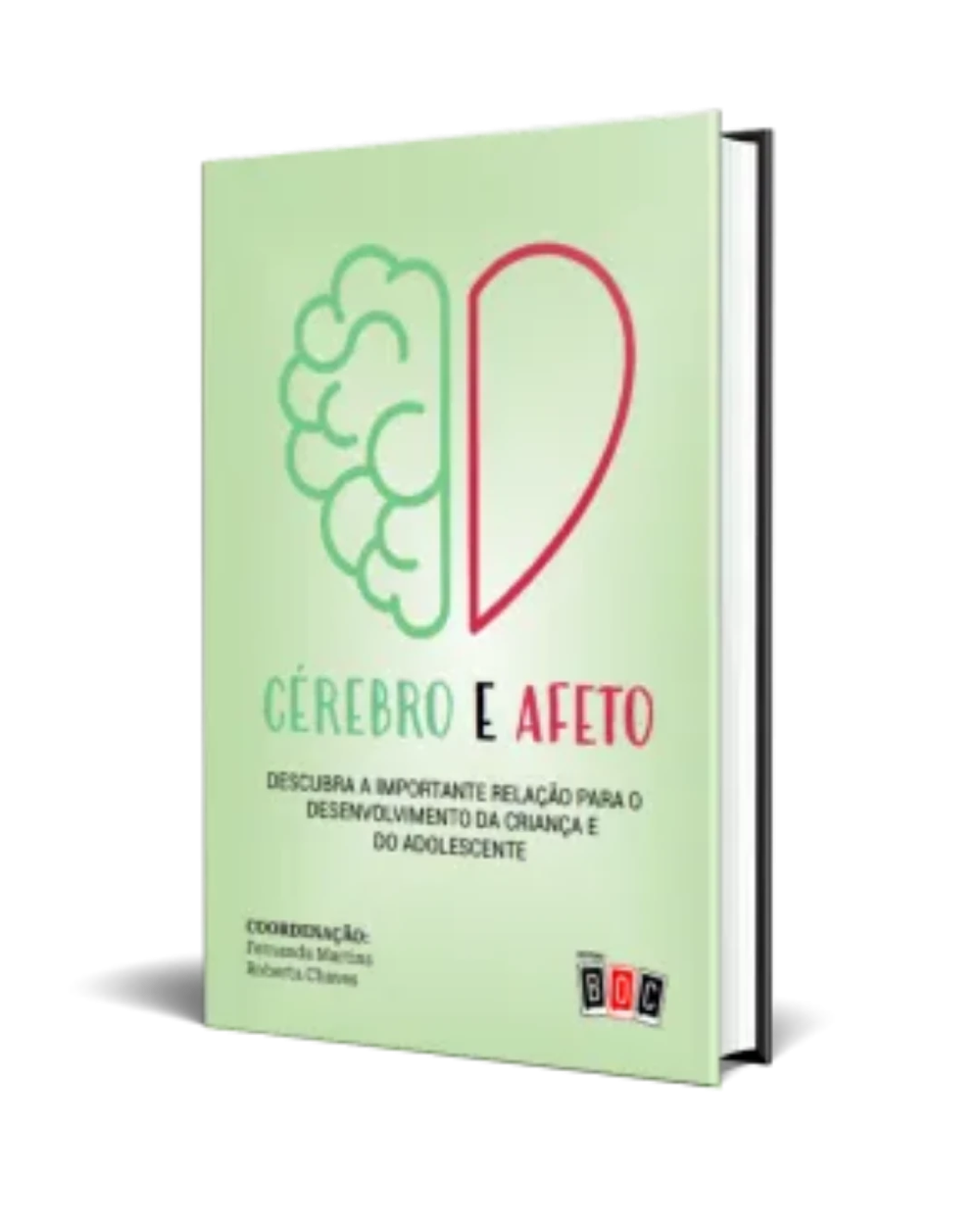 Capa do livro Cérebro e Afeto